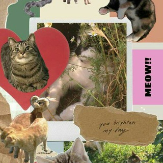 Аватарки и обои