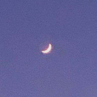 темы для тг (только айфон)