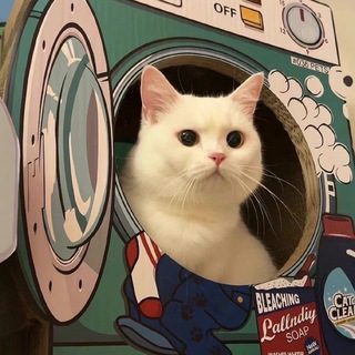 Темы и языки | Обои для тг