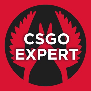 CSGO Expert