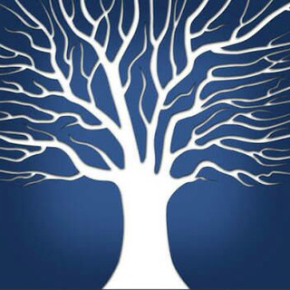 MarketWisdombyNSFidai