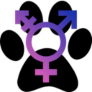 Furry Intersex & Trans