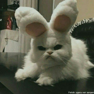 Гей порно the forest