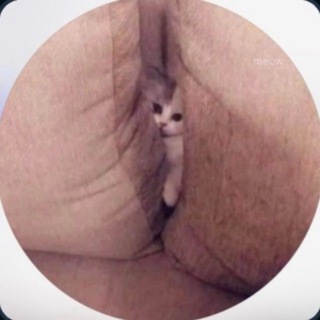 🔥 KIRA AVRORKA FAN