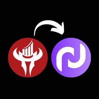 💰 Nedlog Academy 💰