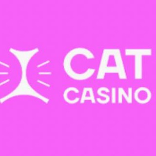 Cat Casino Зеркало – Официальный сайт