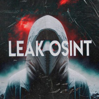 Leak Osint