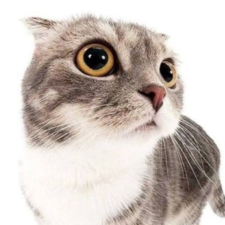 🫶 КуЗьмА в теМе 🫶