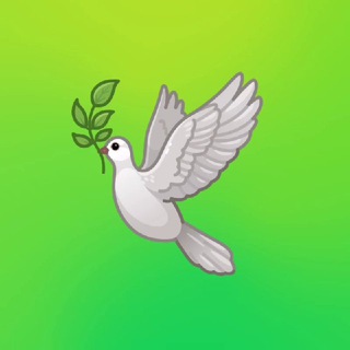 TeamAfrika 🌍 SparkGlobalAI