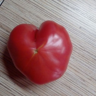 Накрутка подписчиков тг