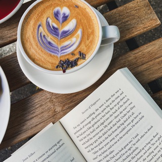 Clube das Amantes de Livros 📖🤎