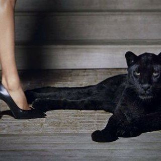 Monster Romance 💋