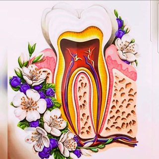 Dental Notes and Books India 🦷💜