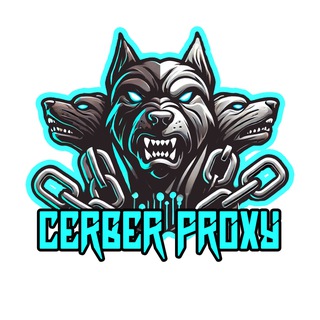 CERBER PROXY