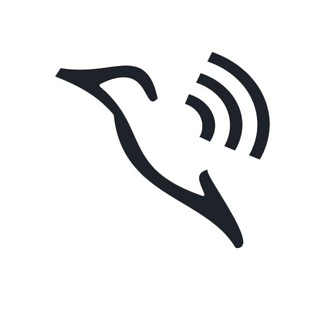 BIRD VPN