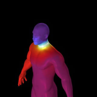 COMSOL Multiphysics® Software Group