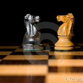 Chess tournament India◼️◻️🏁🇮🇳