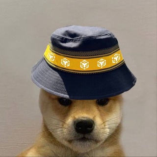 BNB DOGE $BOGE