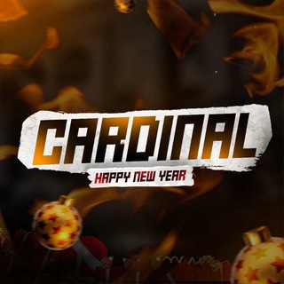 CARDINAL – PUBG