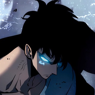 Solo Leveling Memes | Поднятие Уровня В Одиночку: Рагнарёк | Solo Leveling Arise