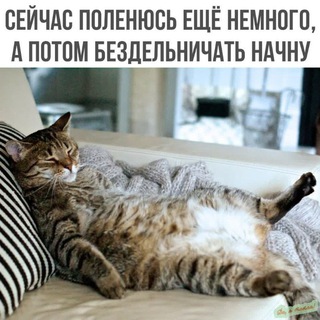 Александр Вахрушев