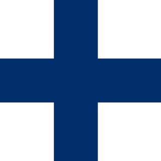 Finland Students Group