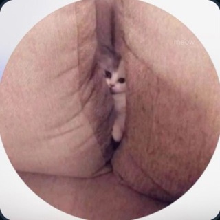 cheryl_bloss Content 💦😰