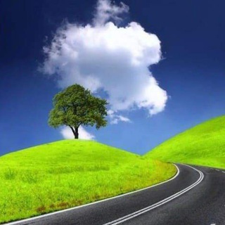 Wasmo somali kala kicis