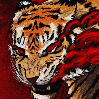 Concursos Militares: Exercito, Marinha e Aeronáutica