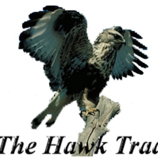 theHawkTrader Antonio Lengua