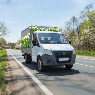 Осторожно, "Газель" ! 🚚