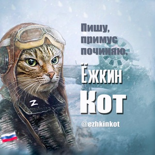 Ёжкин кот