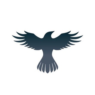 Raven Protocol Announcements